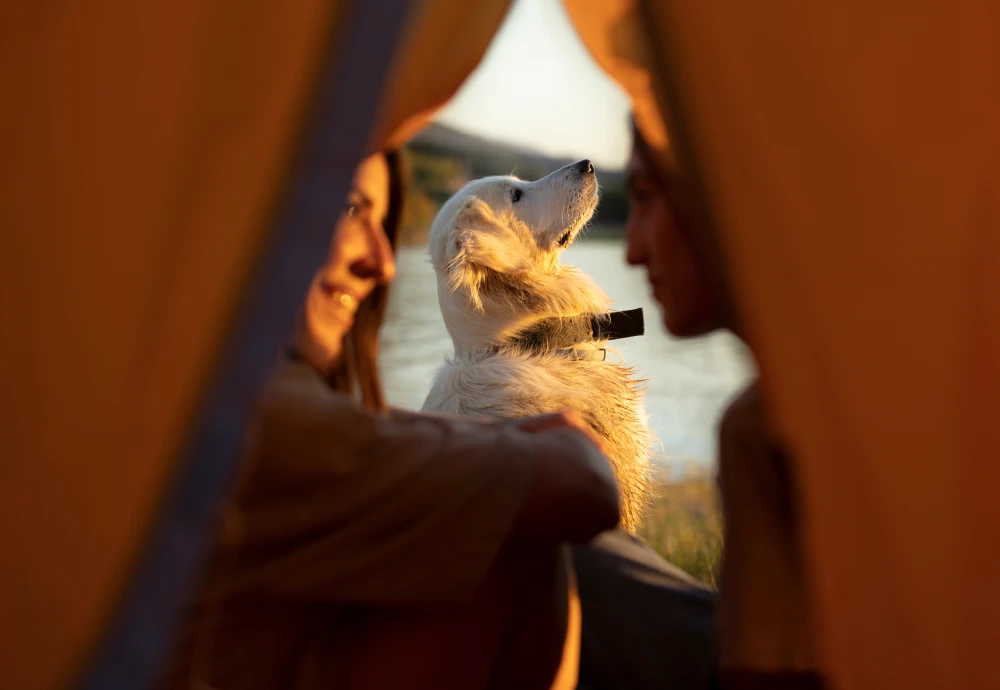 teepee style tent