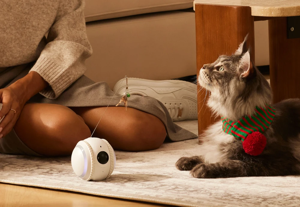 pet robot camera