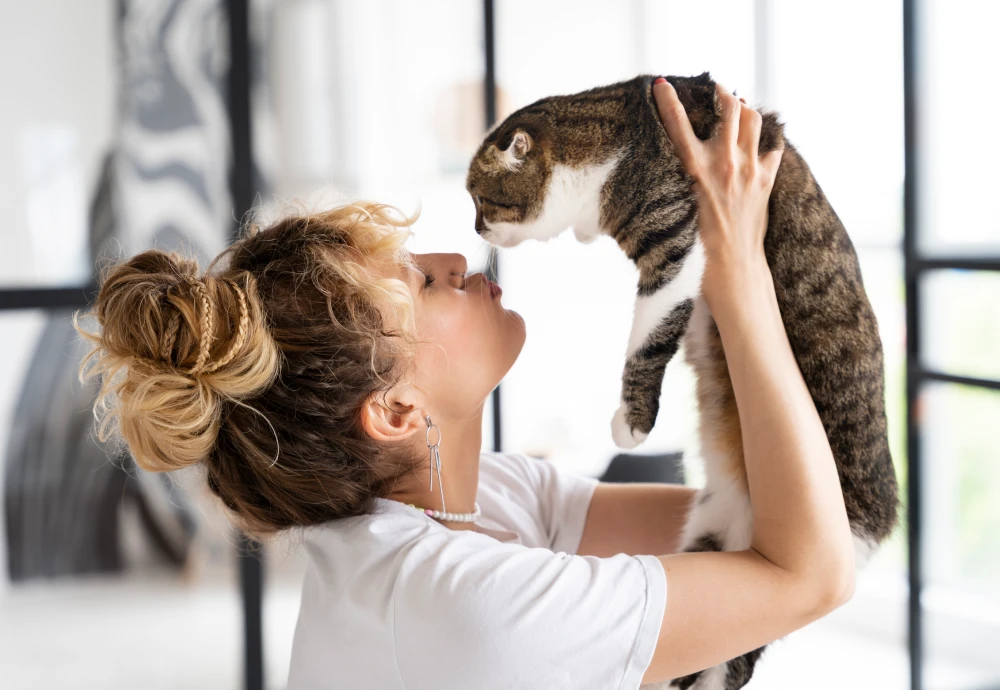 best camera for watching pets