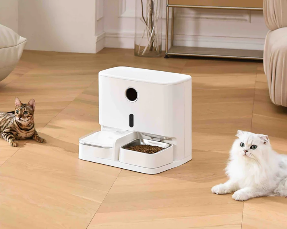 best automatic pet feeder for cats